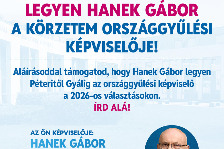 Pest megye 8. sz. VK.